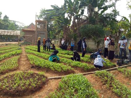 50IMG-20190926-WA0024